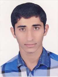 محمد سالمی