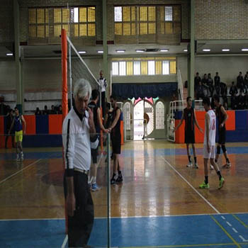 کمیته ورزشی
