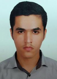 علی اریانی بیمرغی 