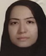 ندا پایافر
